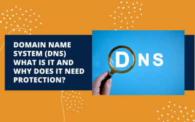 Domain Name System (DNS) What is it and why does it need protection?